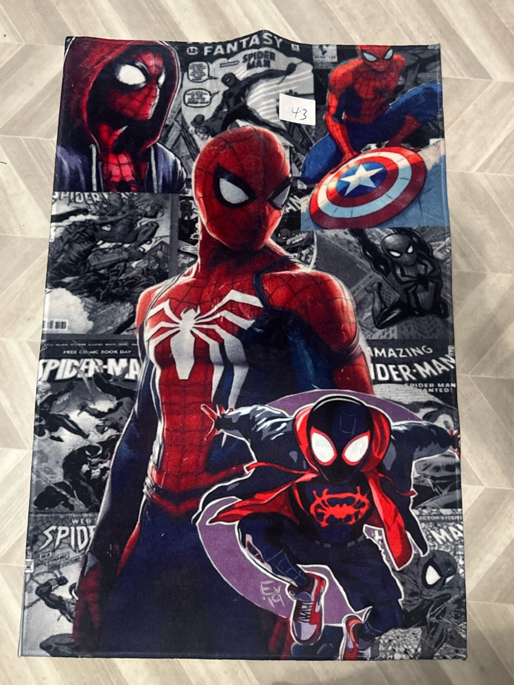 Spider-Man Character Rug/ Wall Decor - Red & Blue 35x24